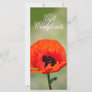 Carte Certificat cadeau à la fleur de pavot rouge