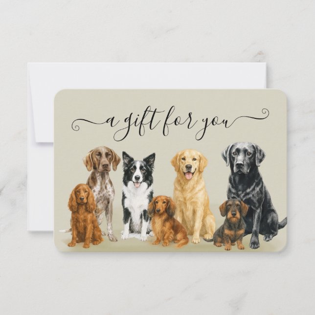 Carte Certificat d'embarquement pour animaux de compagni (Devant)
