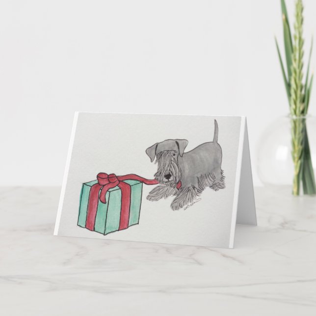Carte Cesky Terrier avec présent (Devant)