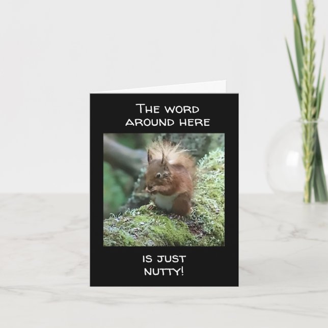 CARTE C'EST JUSTE "NUTTY" VOUS NE POUVEZ PAS TOURNER LA  (Devant)