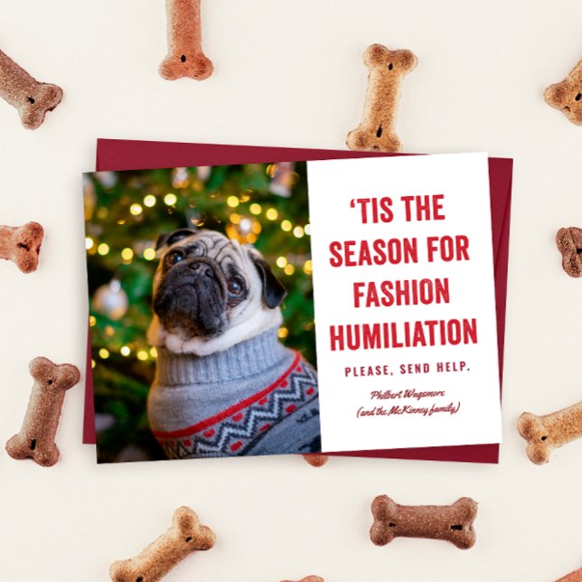 Carte C'est la saison de Noël de l'humiliation de la mod (Funny pet photo holiday card reads "tis the season for fashion humiliation ... please send help")