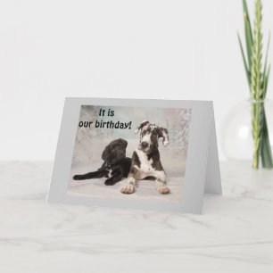 CARTE C'EST "NOTRE" JOUR D'ANNIVERSAIRE - GRAND JOUR !