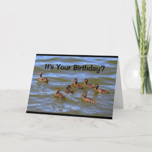 Carte C'est ton anniversaire ? C'est juste Ducky !