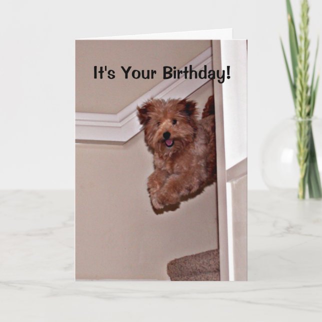 Carte C'est ton anniversaire heureux animal de compagnie (Devant)