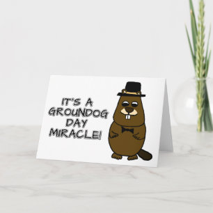 Carte C'est un miracle du jour des marmottes
