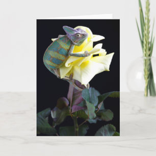 Carte Chameleon sur Rose Jaune