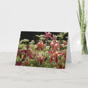 Carte Champ de Columbines