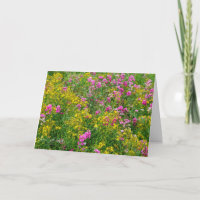Champ de vœux fleuris