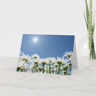 Carte Champ des marguerites