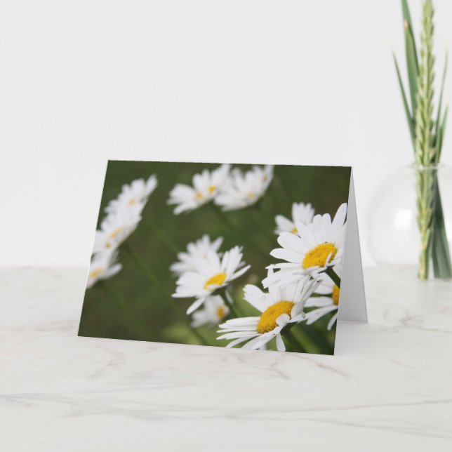 Carte Champ des marguerites - pensant à vous (Devant)