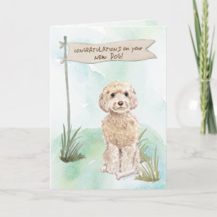 Carte Champagne Cockapoo Félicitations pour le nouveau c