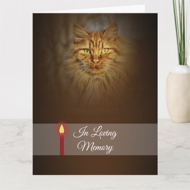 Carte Chandelle rouge photo face chat gingembre | Person (Devant)