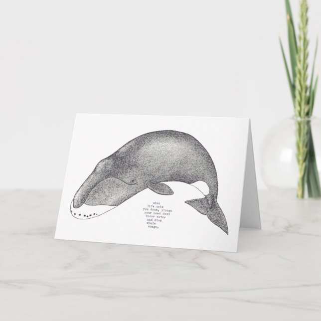 Carte chansons de baleine (Devant)