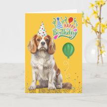 Chapeau de fête Cavalier King Charles Jaune Annive