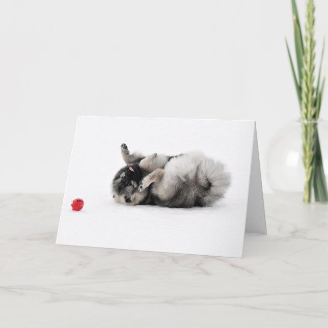 Carte Chapeau de Keting Card (Devant)