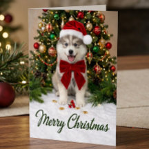 Chapeau de Noël pour amateur de chiots Pomsky mign
