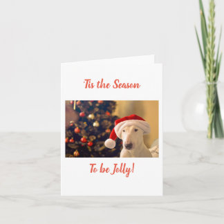 Carte Chapeau de Père Noël Bull Terrier, C'est la saison