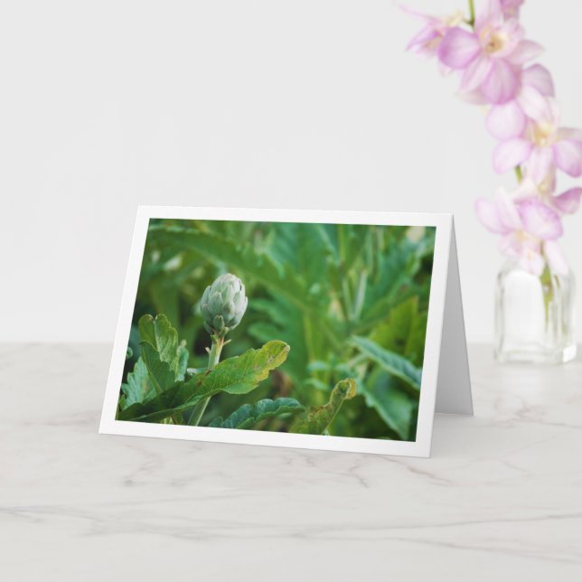 Carte Chardon Artichaut Globuleux (Orchidée)