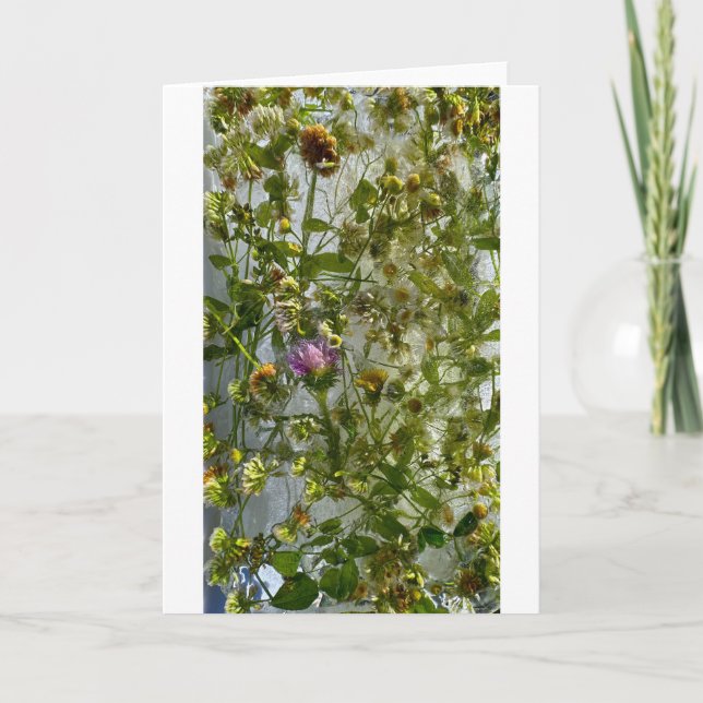 Carte Chardon et trèfle glacés, (Devant)