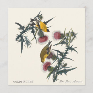 Carte Chardonnerets de John James Audubon