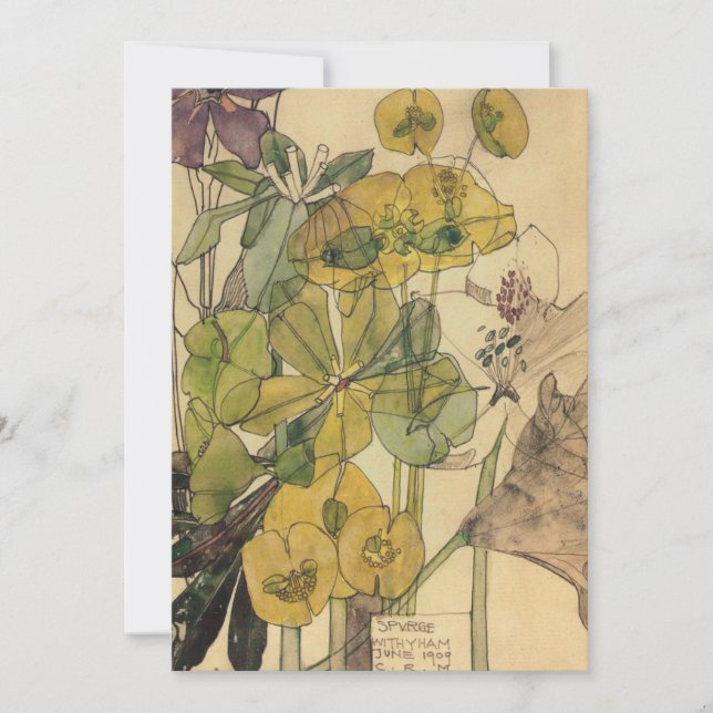 Carte Charles Rennie Mackintosh - Spurge With Yham 1909 (Devant)