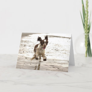 Carte Charlie Le Springer !
