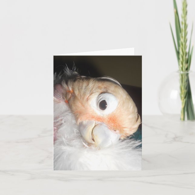 Carte Charme d'Ella (Devant)