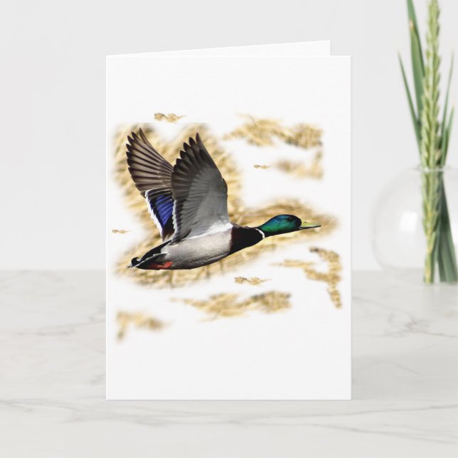 Carte Chasse de canard de Mallard (Devant)