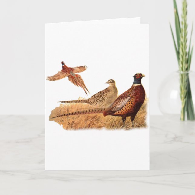 Carte Chasse évasive d'oiseau de faisan (Devant)