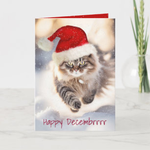 Carte Chat à Coon Maine De Noël En Neige