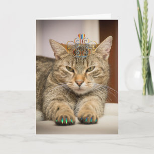 Carte Chat à la recherche de bien pour Anniversaire anim