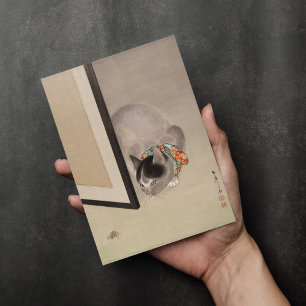Carte Chat à regarder une araignée Oide Tōkō