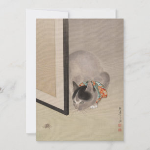 Carte Chat à regarder une araignée Oide Tōkō