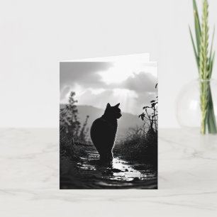 Carte Chat après un Merci pluvial