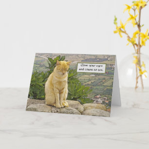 CARTE CHAT ASSIS SUR UN ROCHER,  YEUX FERMÉS, HUMOUR, AM