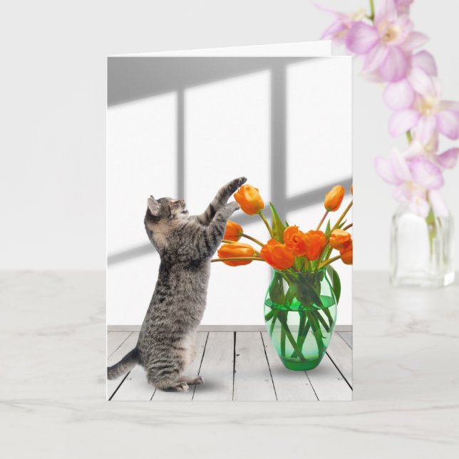 Carte Chat aux tulipes orange (Orchidée)