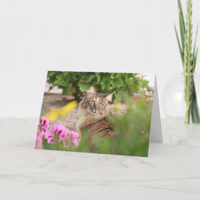 Carte Chat avec géranium (Devant)