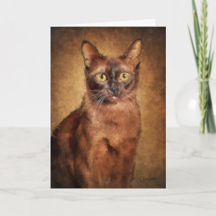Carte Chat birman Brown