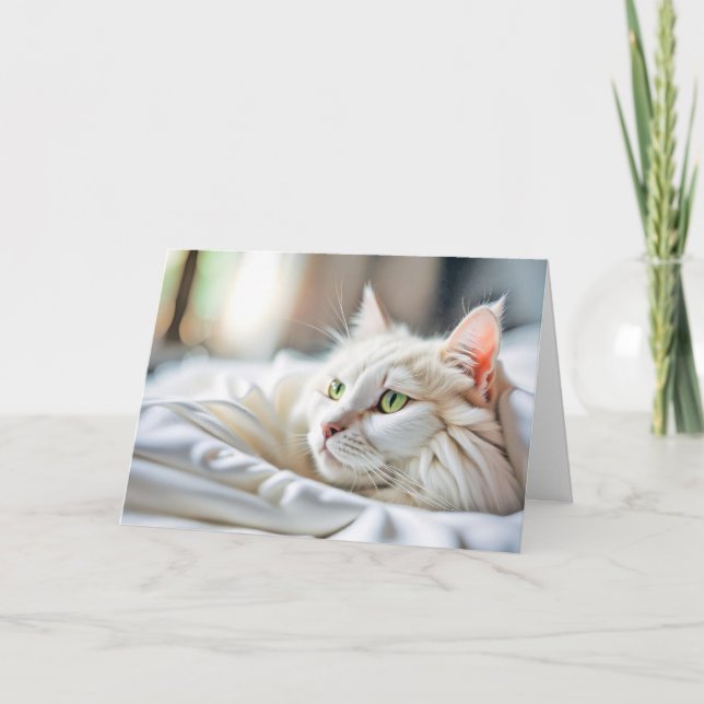 Carte Chat Blanc Anniversaire En Lit (Devant)