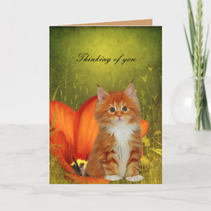 Carte Chat Blanc Chatons Fleurs "En pensant à vous