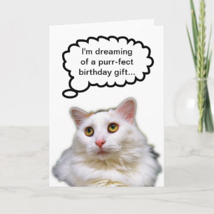 Carte Chat Blanc Humour d'anniversaire