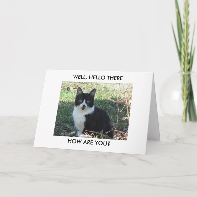 Carte Chat blanc noir de N, BIEN, BONJOUR LÀ, comment (Devant)