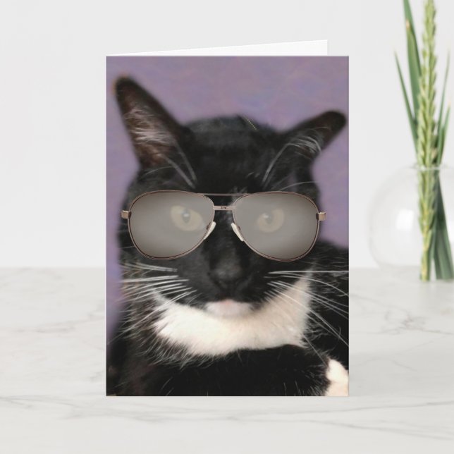 Carte Chat Bossy Noir Et Blanc Anniversaire (Devant)