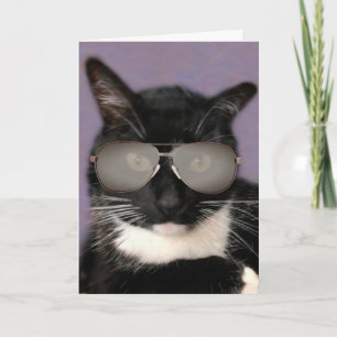 Carte Chat Bossy Noir Et Blanc Anniversaire