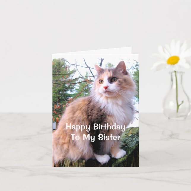 Carte Chat calico de fête Sœur (Petite plante)