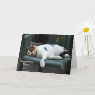 Carte Chat Calico personnalisé enroulé chaise Anniversai