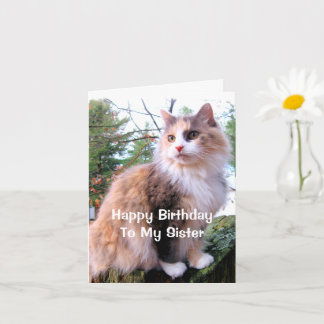 Carte Chat calico pour l'anniversaire de ma sœur