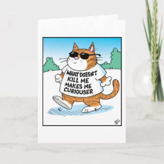 Carte Chat Curieux 