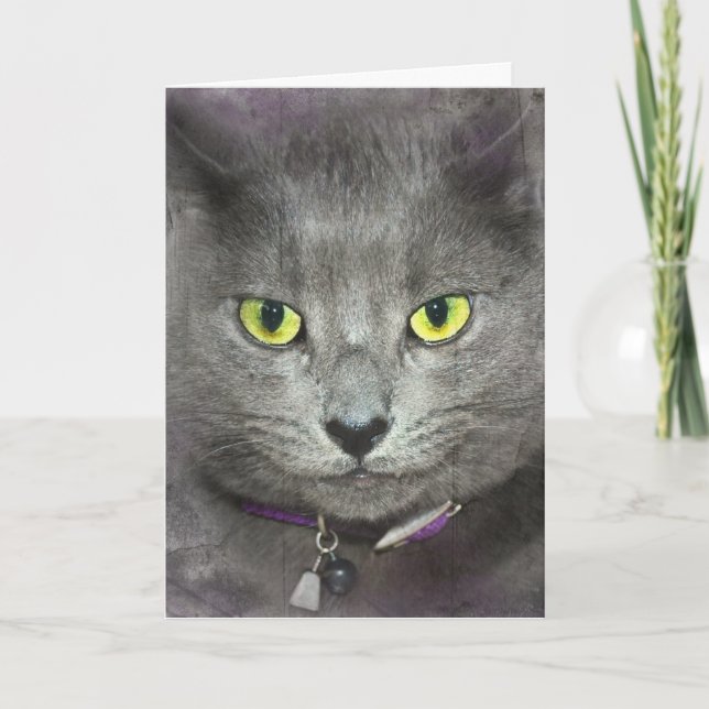 Carte Chat d'anniversaire (Devant)