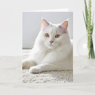 Carte Chat d'Anniversaire Blanc Sur Tapis Blanc